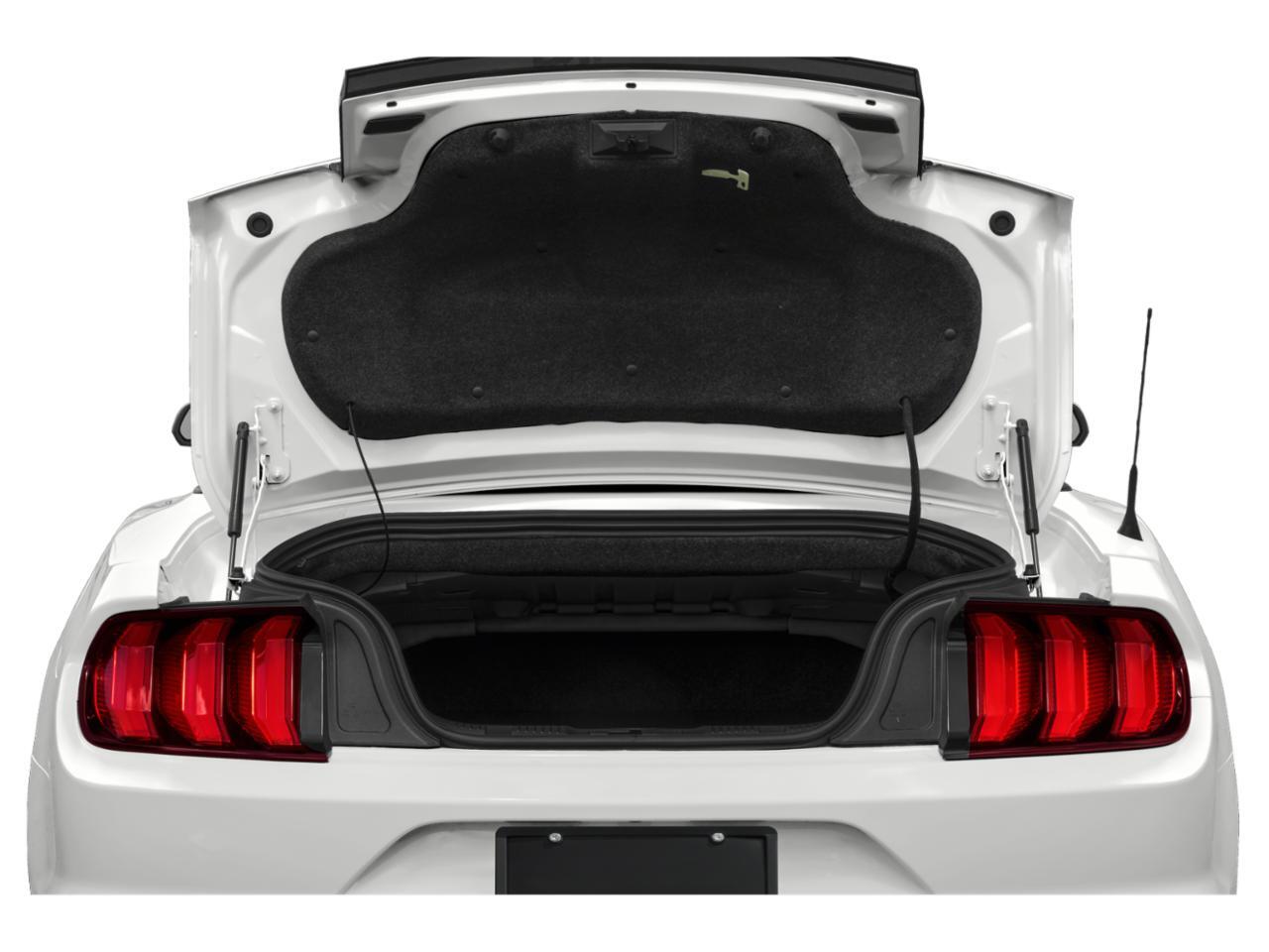 2023 Ford Mustang EcoBoost Premium Oshkosh WI