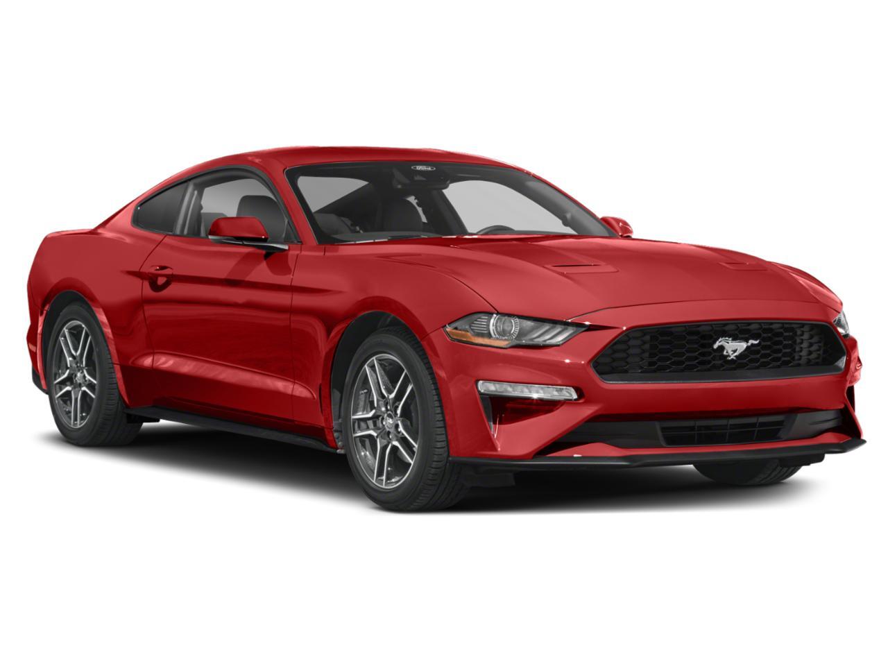 2023 Ford Mustang EcoBoost Premium Quincy MA