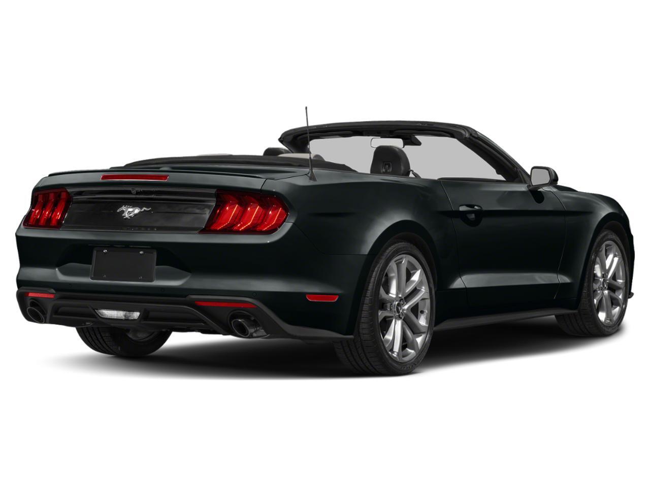 2023 Ford Mustang EcoBoost Warrenton VA