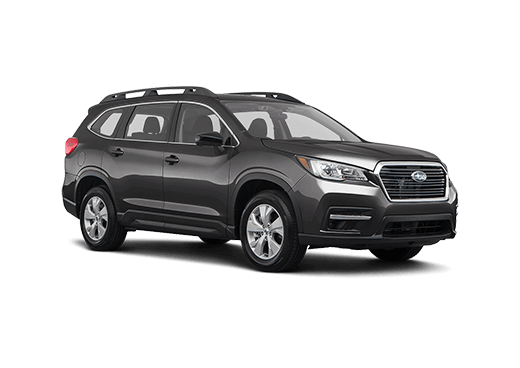 2019 Ascent