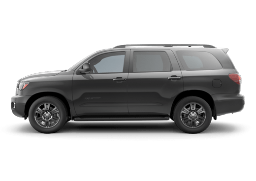 2019 Sequoia