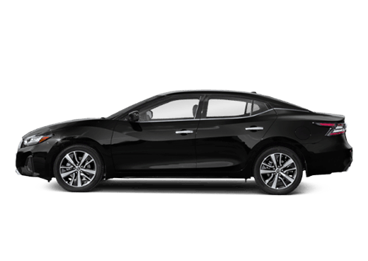 2019 Maxima