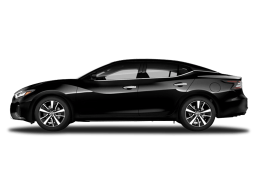2020 Maxima