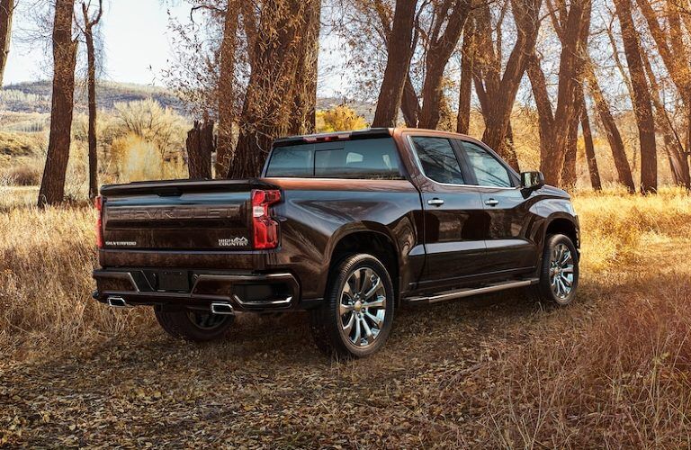 Rear passenger angle of a black 2020 Chevrolet Silverado 1500 parked in the woods