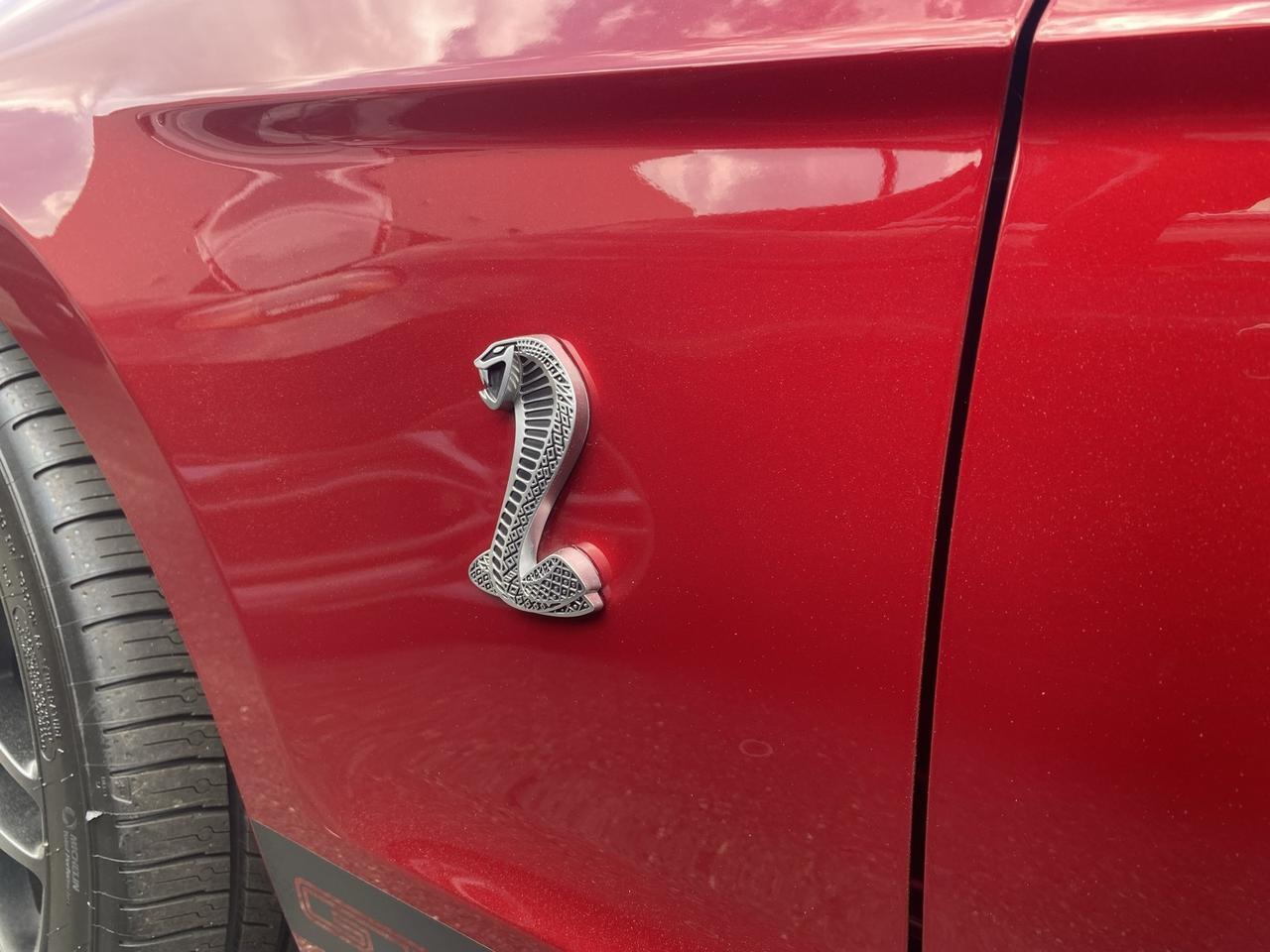 2014 Ford Mustang Shelby GT500 Ashland VA