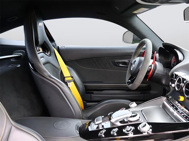 2018 Mercedes-Benz AMG® GT R Merriam KS