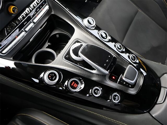 2018 Mercedes-Benz AMG® GT R Merriam KS