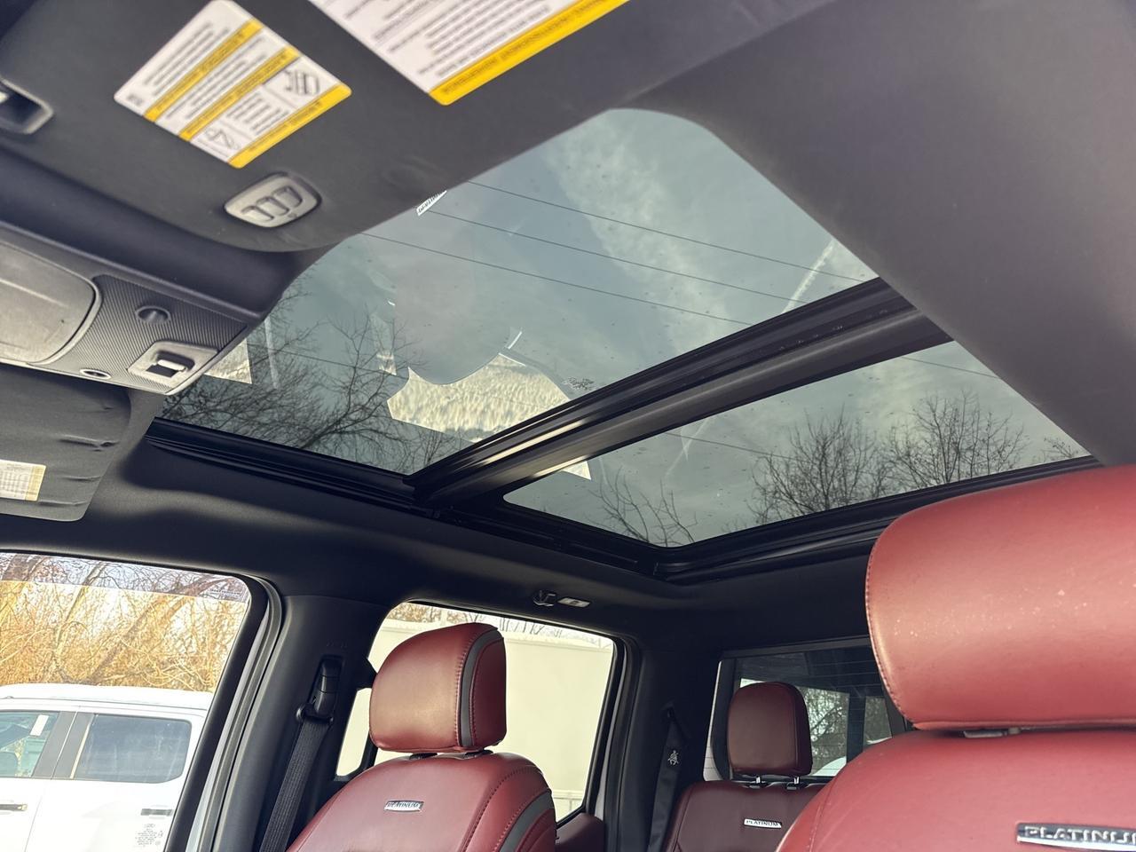 2019 Ford F-150 Platinum Warrenton VA