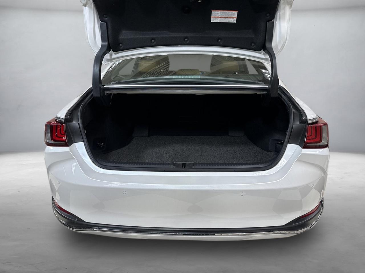 2019 Lexus ES 300h Luxury Annapolis MD