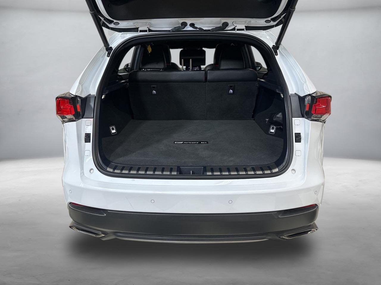 2020 Lexus NX 300 F Sport Annapolis MD