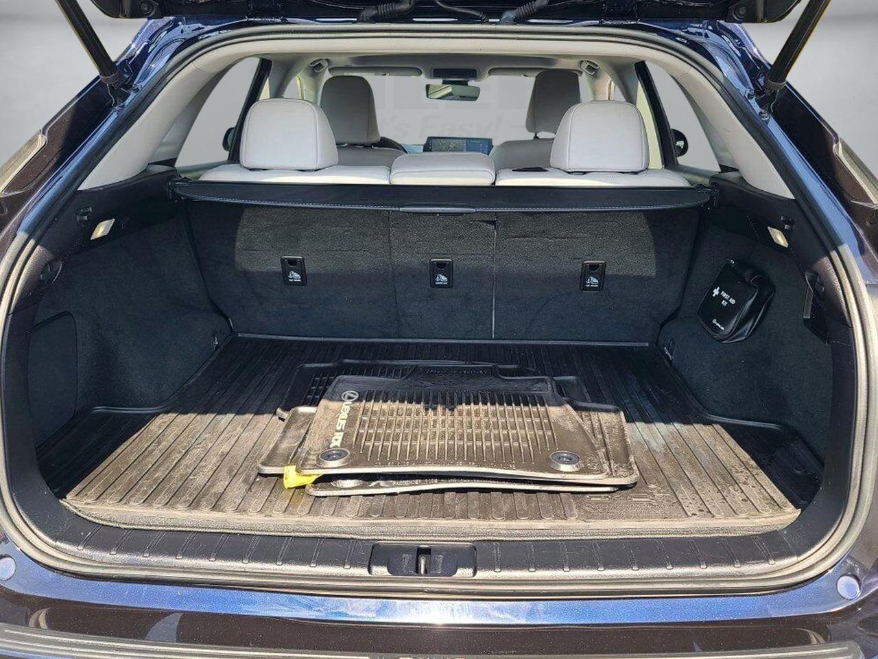 2020 Lexus RX 350 Springfield VA