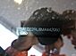 2021 Land Rover Range Rover Westminster Merriam KS