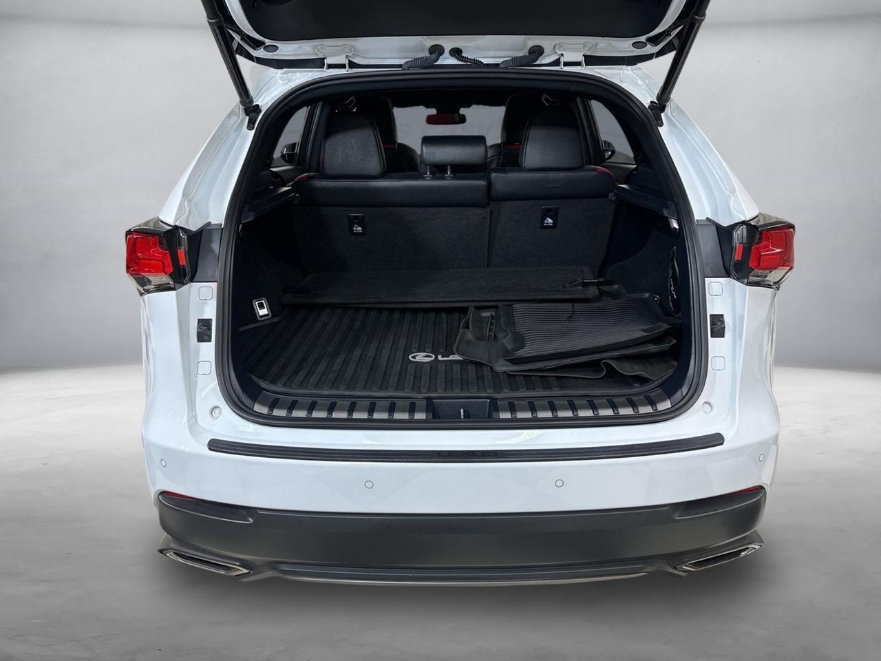 2021 Lexus NX 300 F Sport Annapolis MD