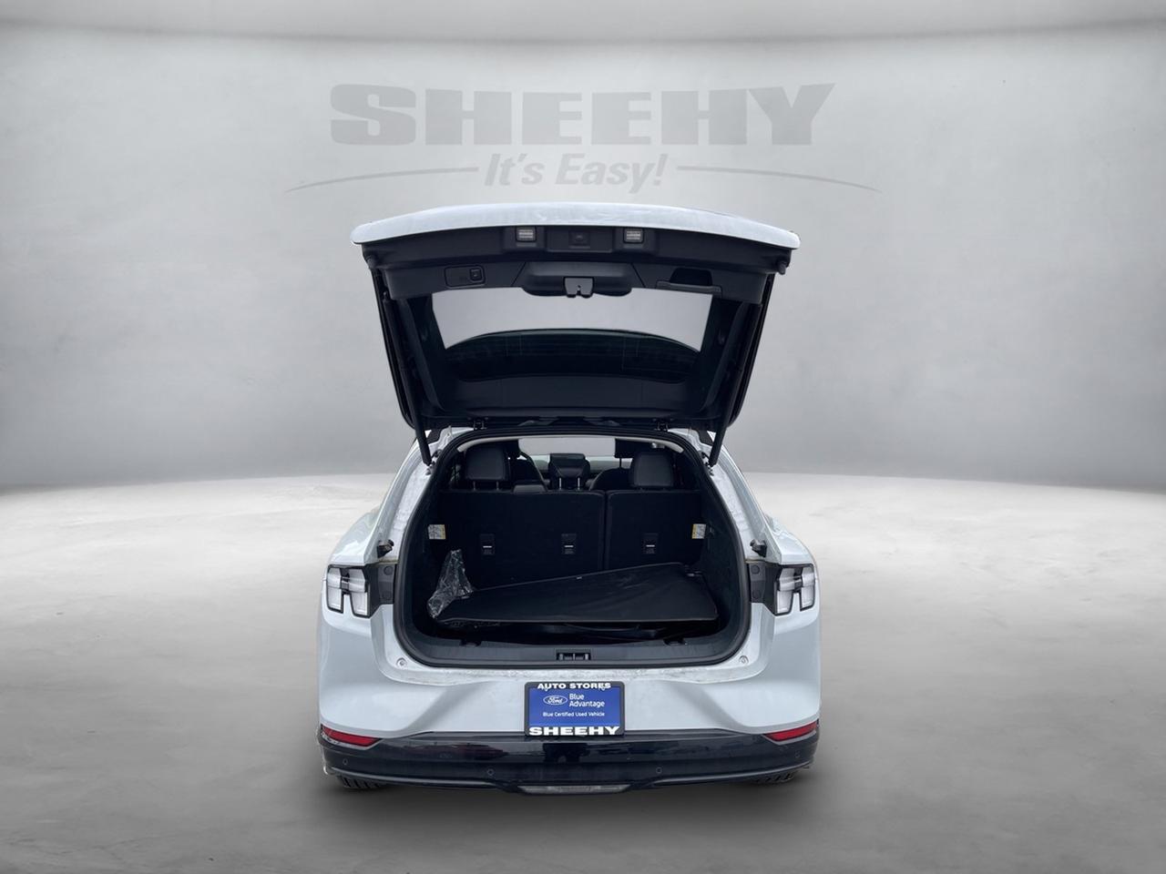 2022 Ford Mustang Mach-E Premium Springfield VA