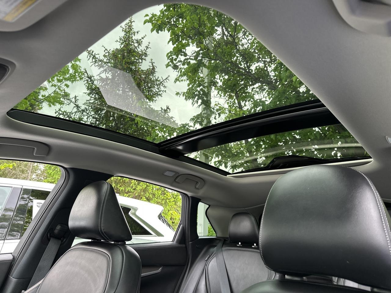 2022 INFINITI QX50 LUXE Chantilly VA