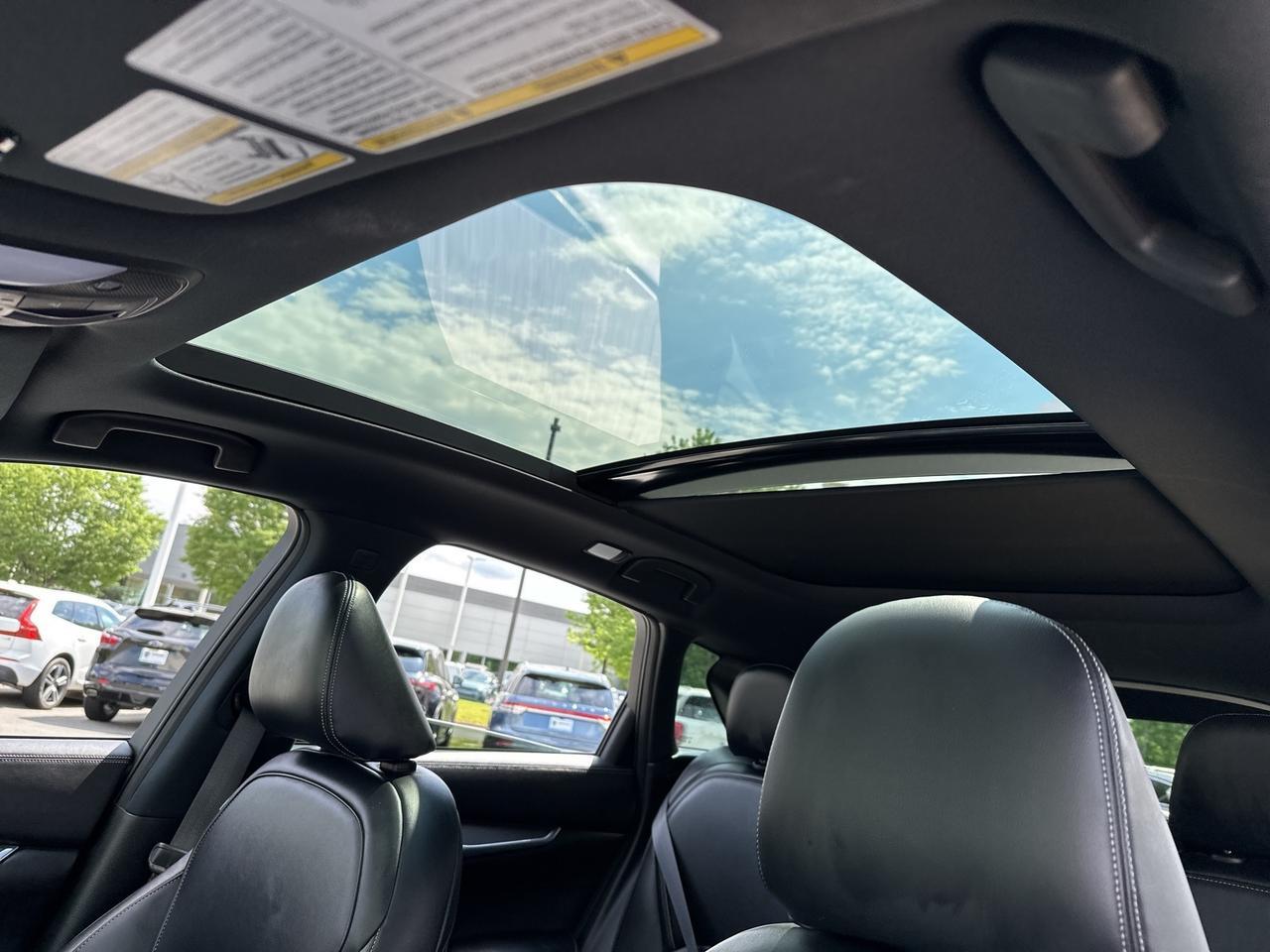 2022 INFINITI QX50 LUXE Chantilly VA