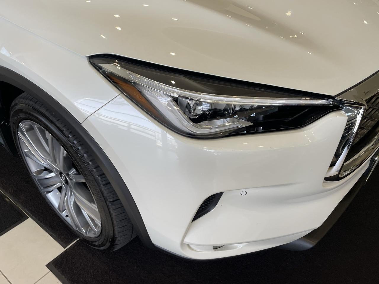 2022 INFINITI QX50 Sensory Annapolis MD