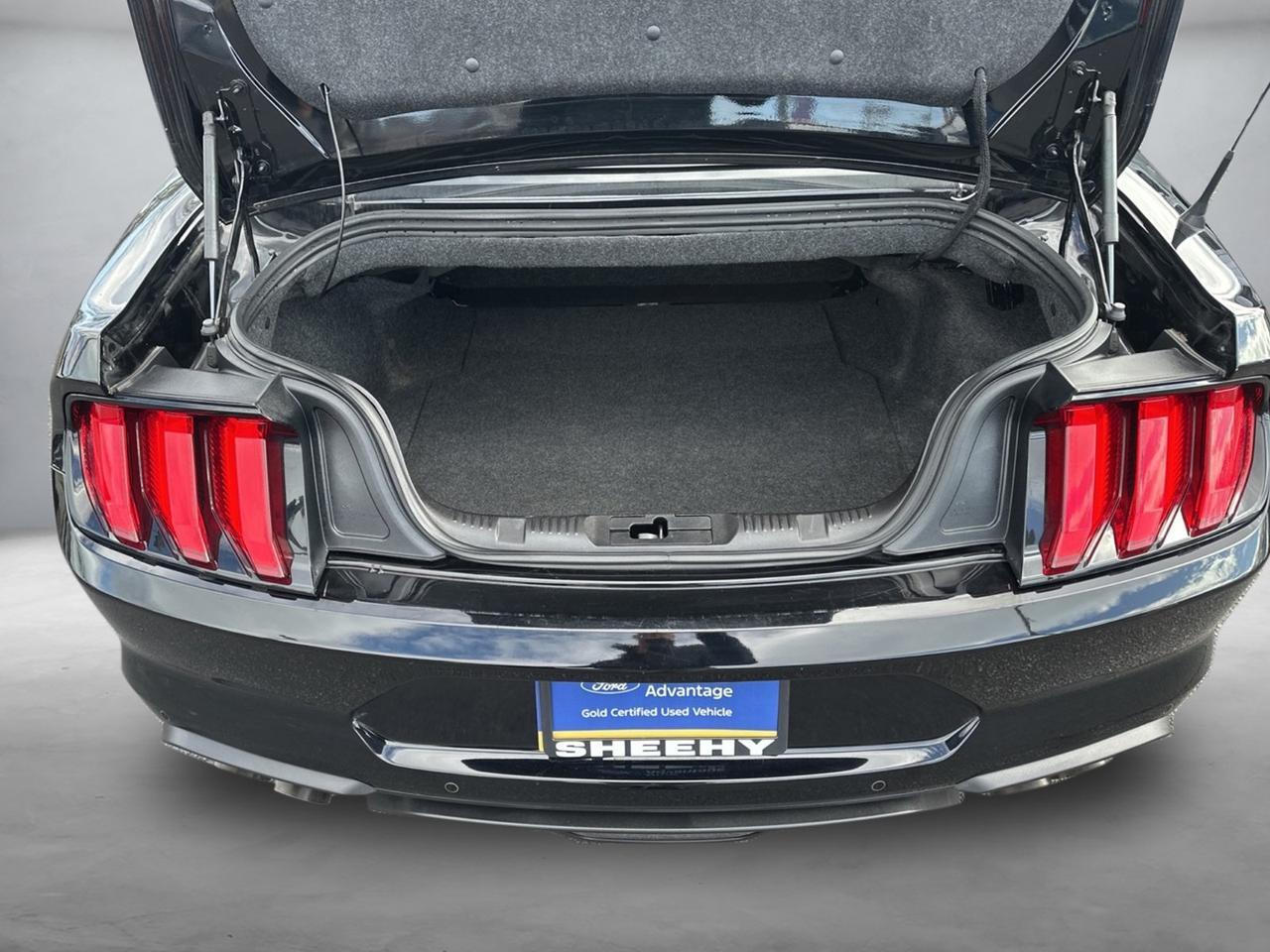 2023 Ford Mustang GT Premium Richmond VA