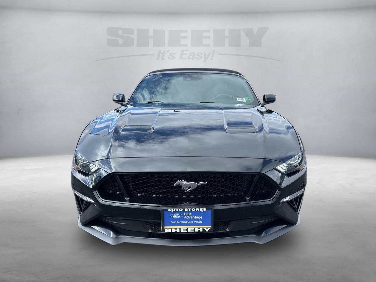 2023 Ford Mustang GT Premium Richmond VA