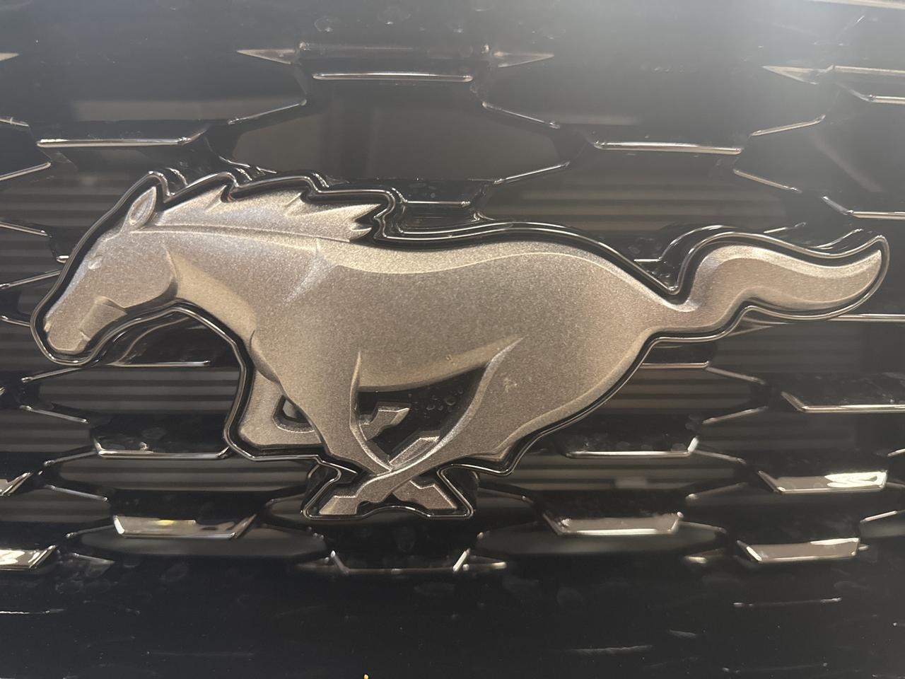 2023 Ford Mustang Mach 1 Warrenton VA