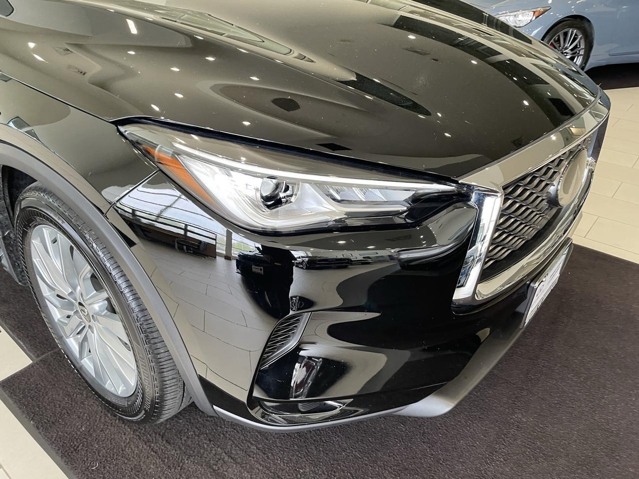 2023 INFINITI QX50 LUXE Annapolis MD