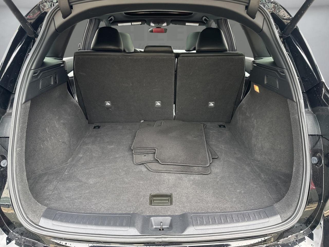 2023 INFINITI QX50 SPORT Chantilly VA