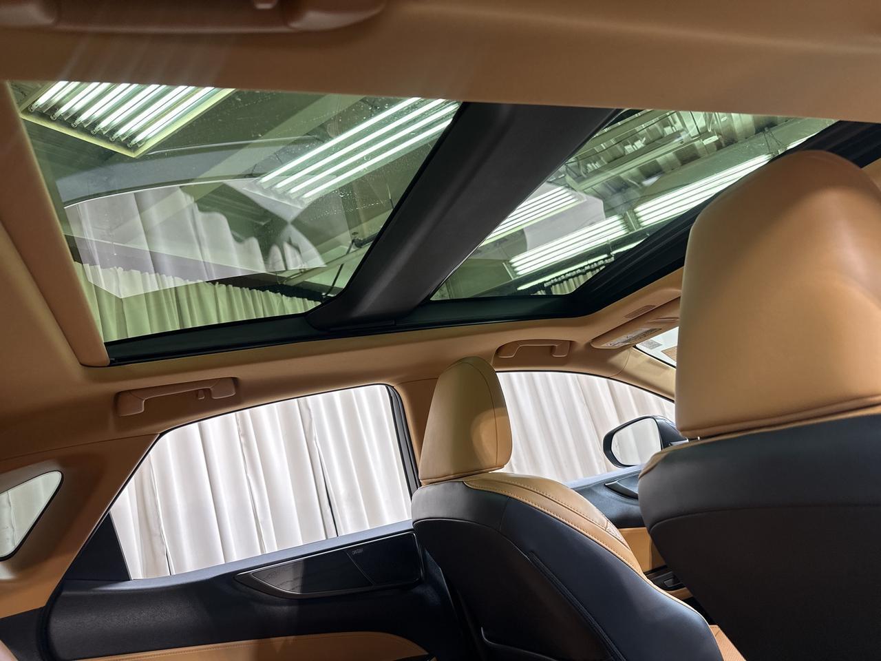 2023 Lexus NX 350 Luxury Annapolis MD