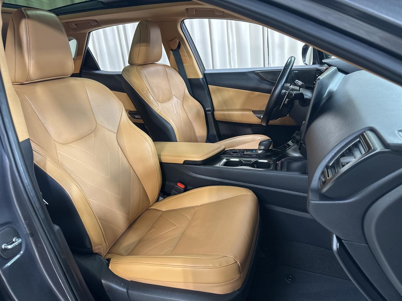 2023 Lexus NX 350 Luxury Annapolis MD