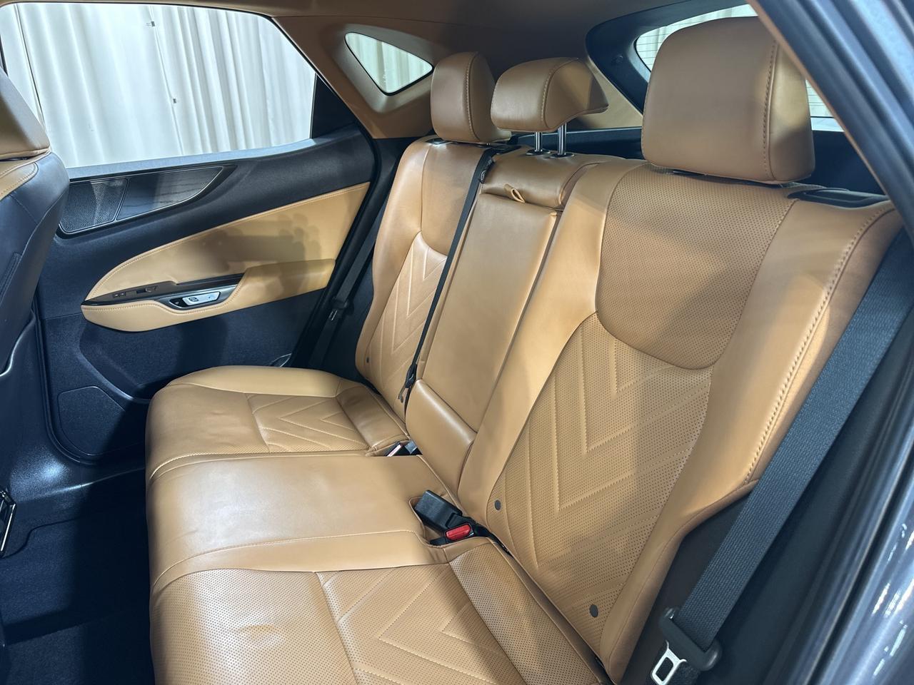 2023 Lexus NX 350 Luxury Annapolis MD