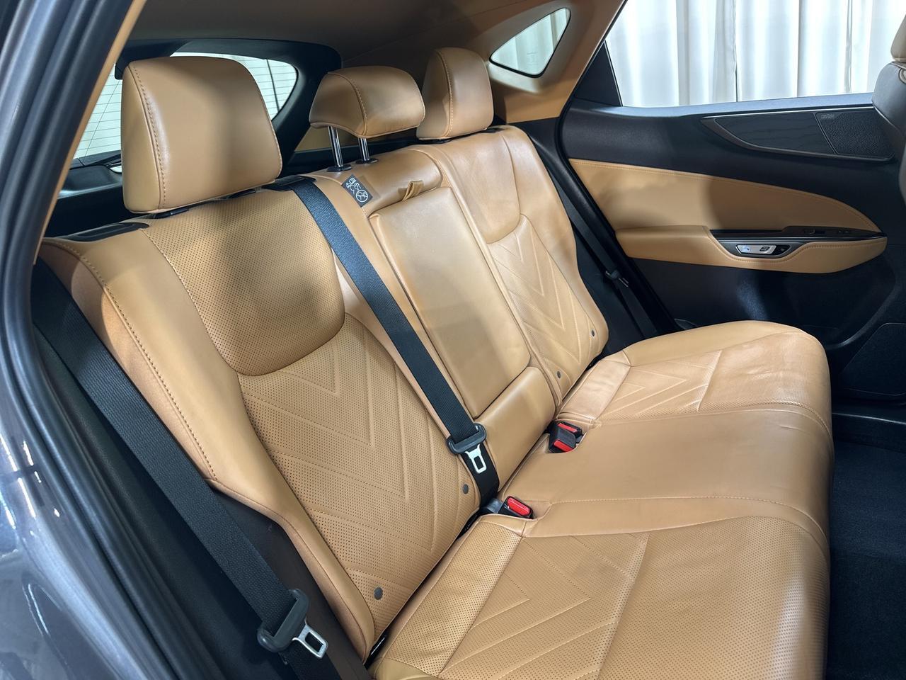 2023 Lexus NX 350 Luxury Annapolis MD