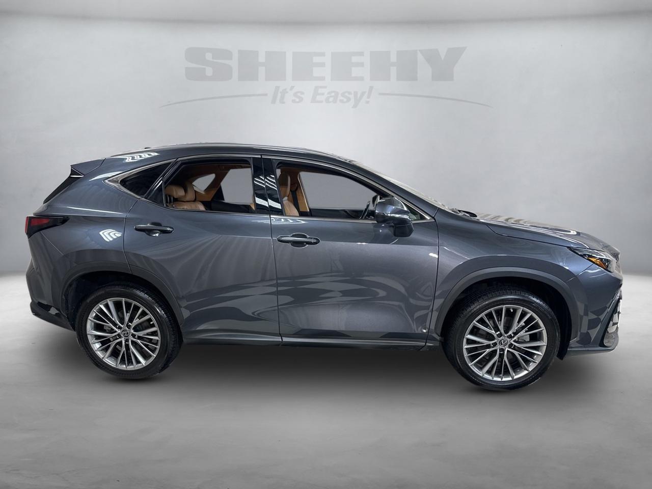 2023 Lexus NX 350 Luxury Annapolis MD