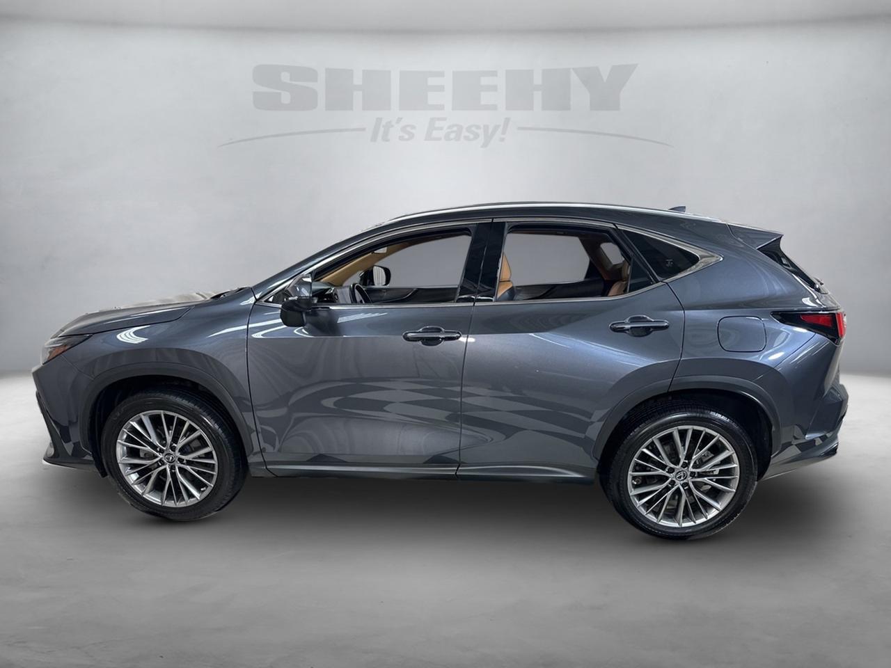 2023 Lexus NX 350 Luxury Annapolis MD