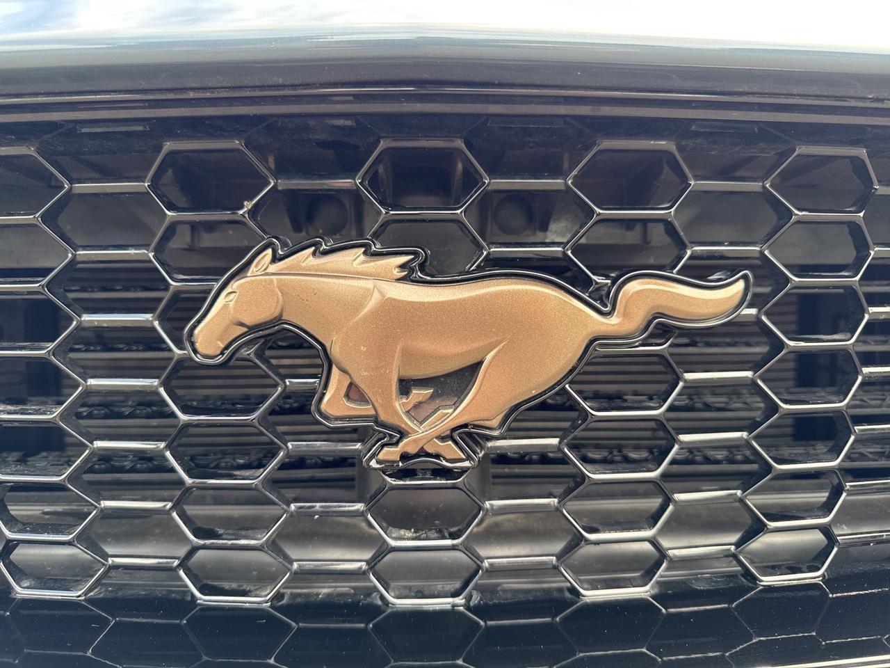 2024 Ford Mustang GT Premium Warrenton VA