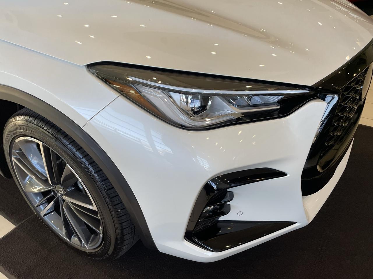 2024 INFINITI QX50 SPORT Annapolis MD