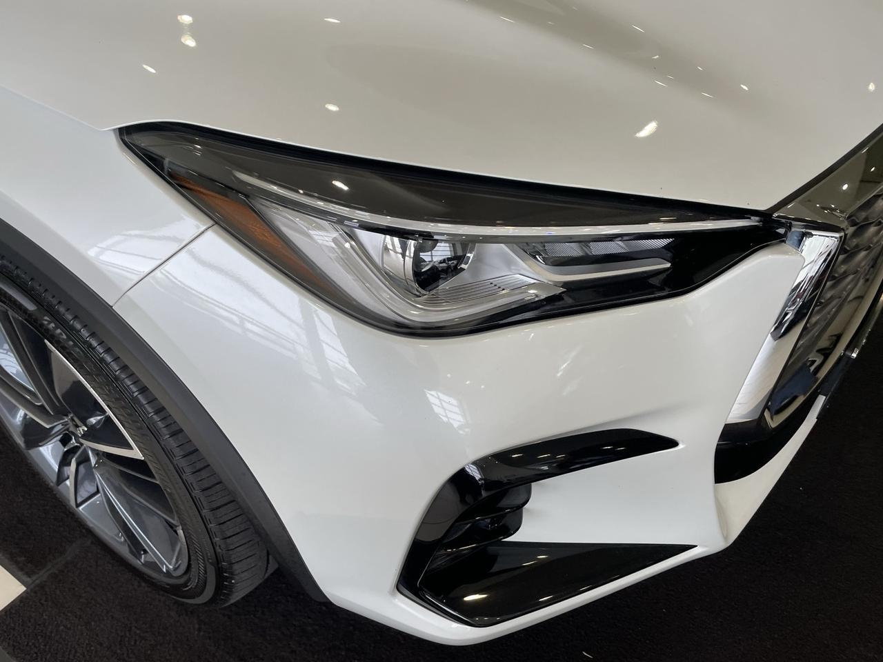 2024 INFINITI QX55 LUXE Annapolis MD