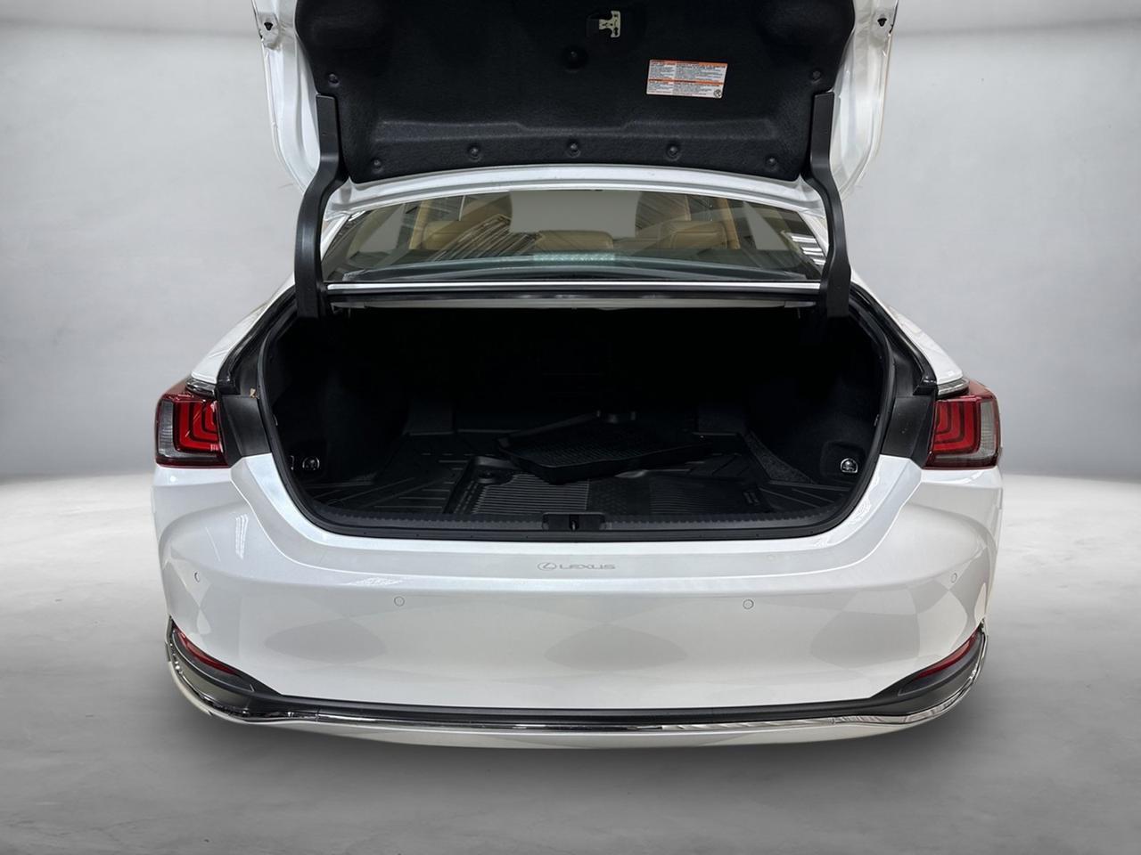 2024 Lexus ES 300h Luxury Annapolis MD