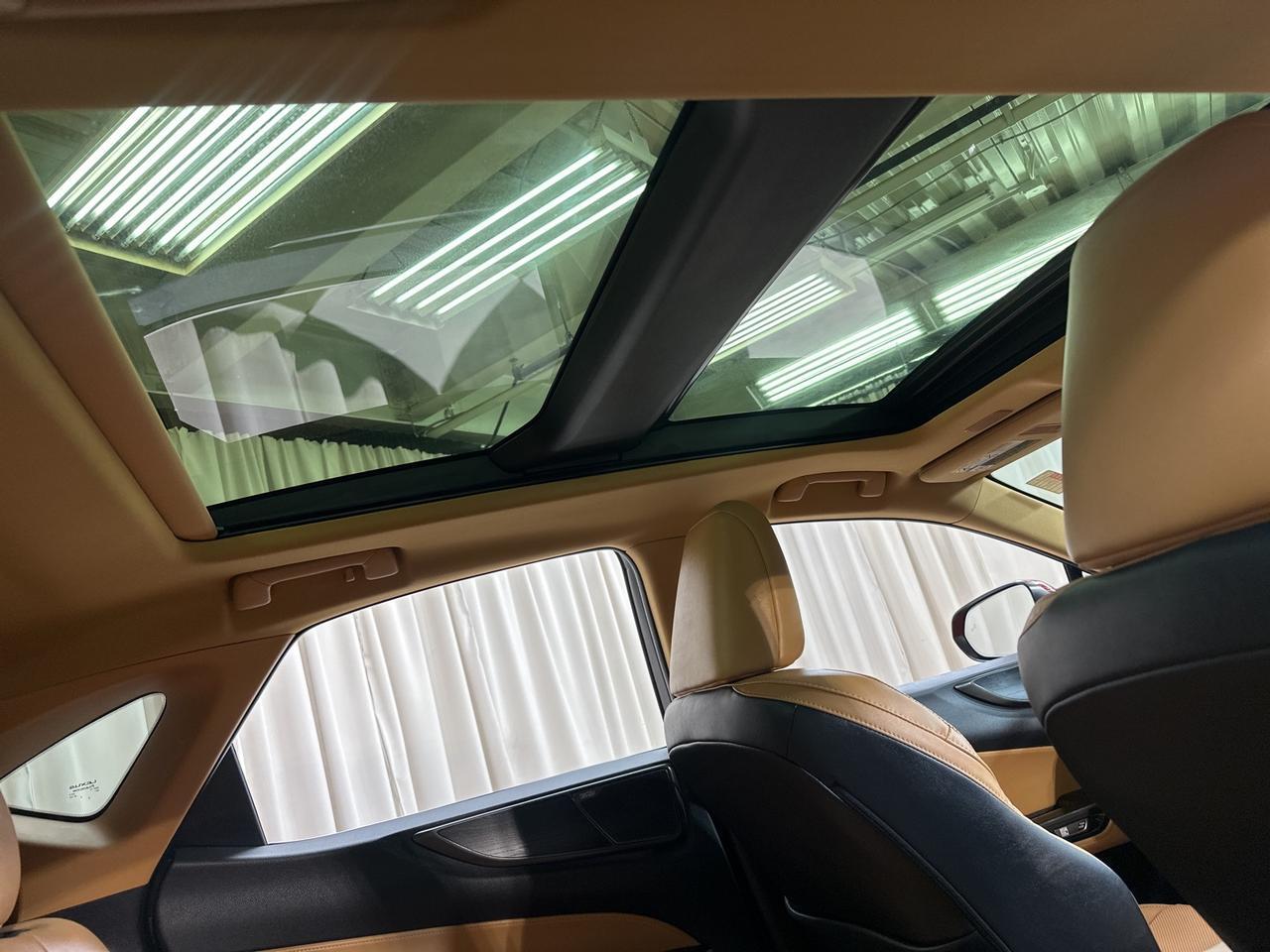 2024 Lexus NX 350h Luxury Annapolis MD