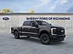 2025 Ford F-250SD Platinum