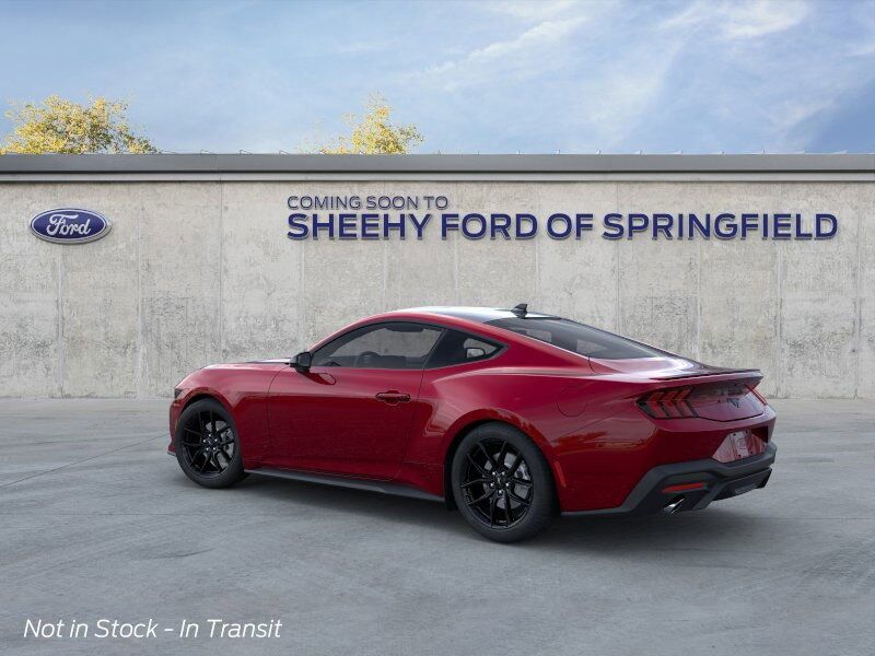 2025 Ford Mustang EcoBoost Springfield VA