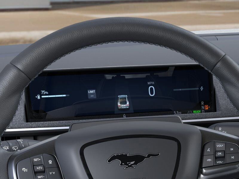 2025 Ford Mustang Mach-E GT Green Bay WI