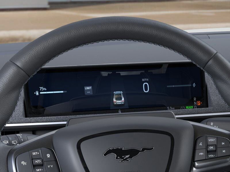 2025 Ford Mustang Mach-E GT Green Bay WI