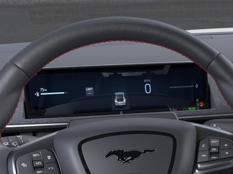 2025 Ford Mustang Mach-E Premium Green Bay WI