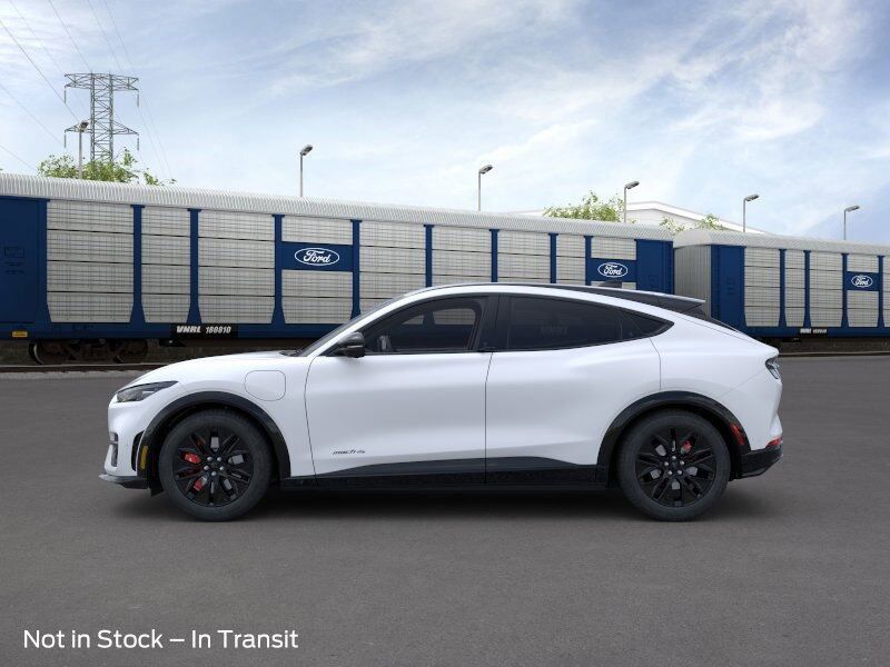 2025 Ford Mustang Mach-E Premium Green Bay WI