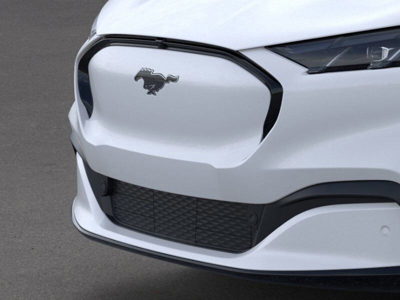 2025 Ford Mustang Mach-E Premium Green Bay WI