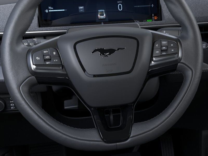 2025 Ford Mustang Mach-E Premium Green Bay WI