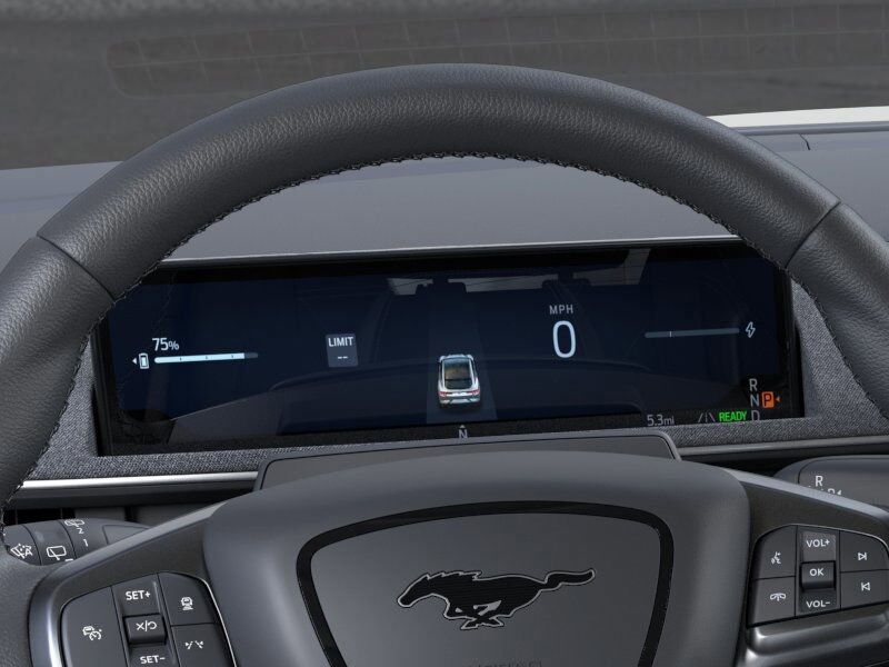 2025 Ford Mustang Mach-E Premium Green Bay WI