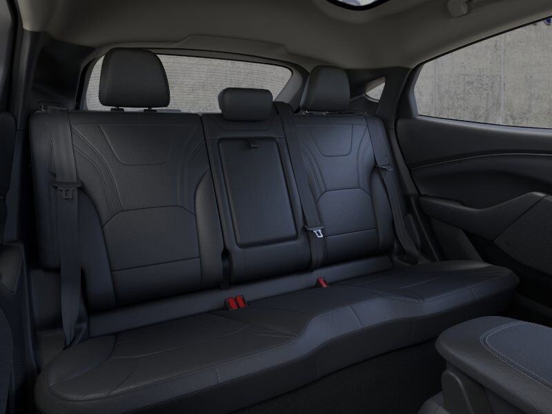 2025 Ford Mustang Mach-E Premium Warrenton VA