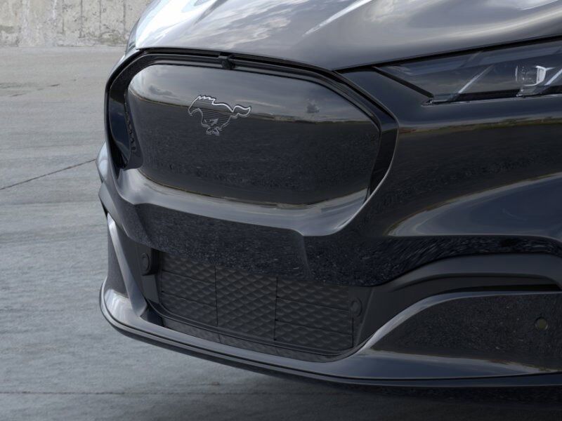 2025 Ford Mustang Mach-E Premium Warrenton VA