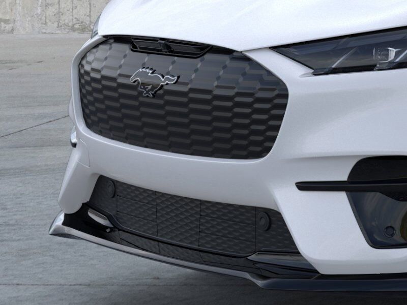 2025 Ford Mustang Mach-E Premium Warrenton VA