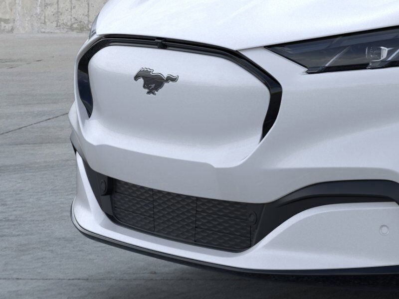 2025 Ford Mustang Mach-E Premium Warrenton VA